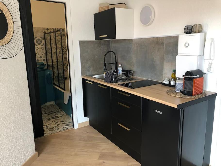 Studio Moderne, Terrasse Et Parking Romans-sur-Isère Екстериор снимка